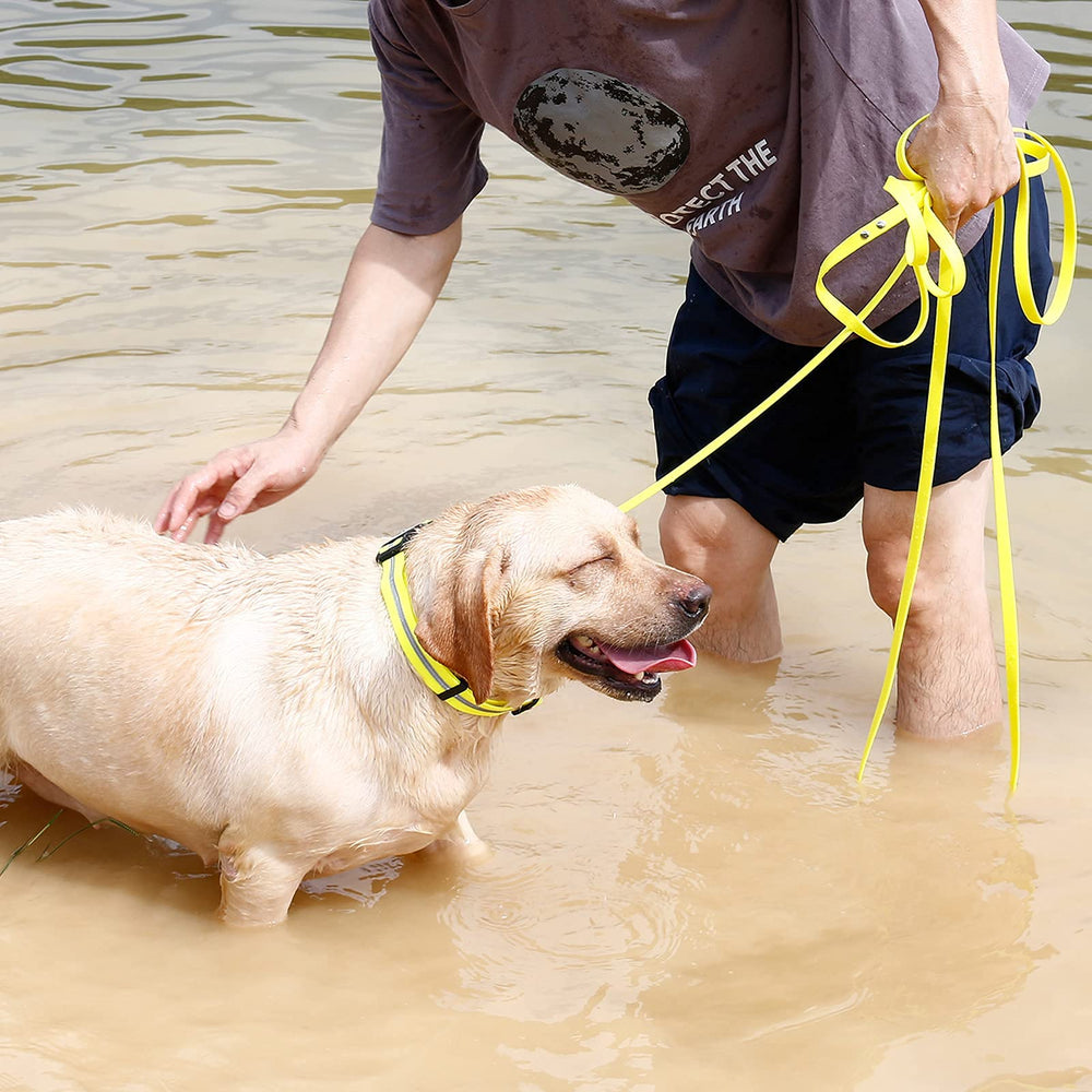 NIMBLE long-dog-leash ideal para exteriores como playa y camping.