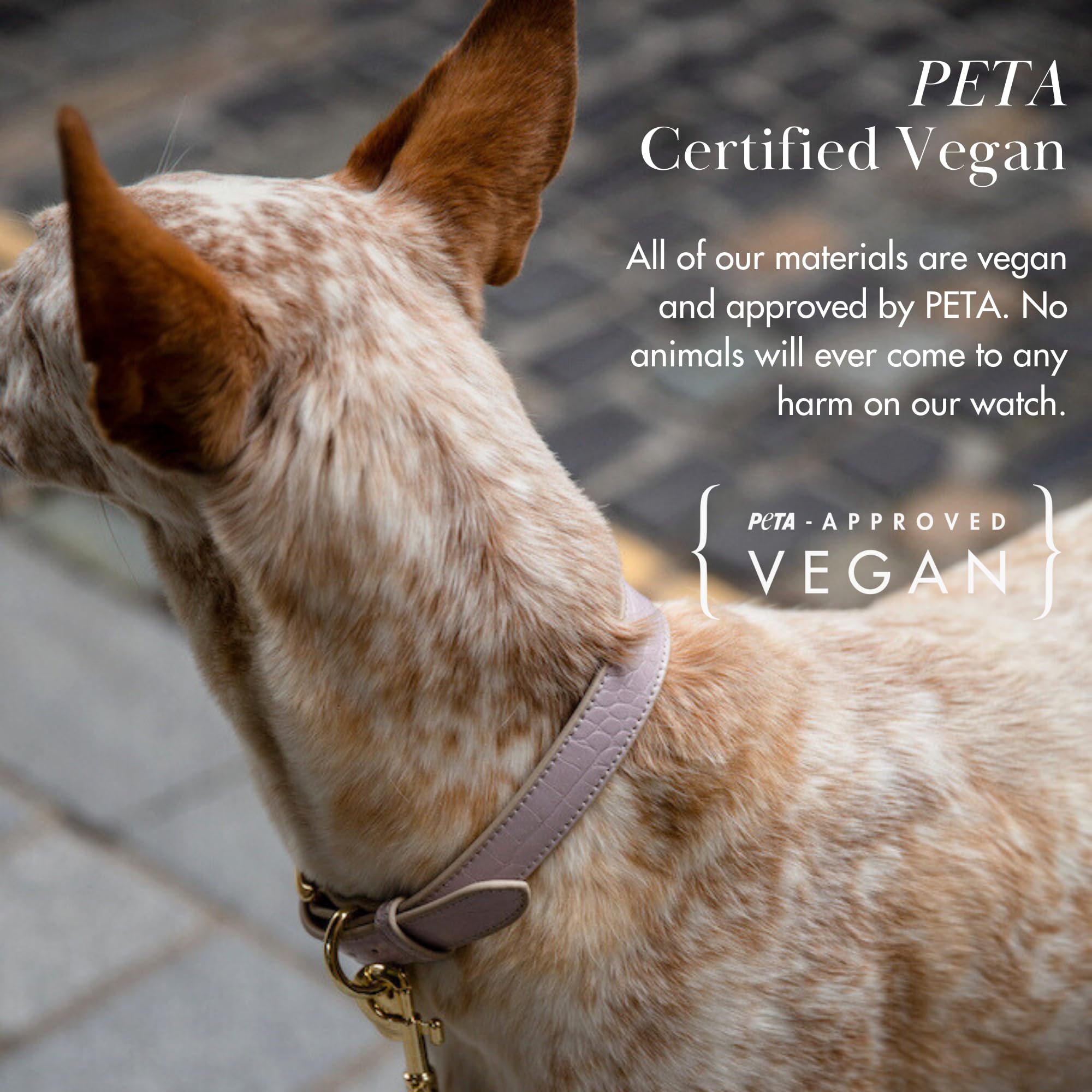 Materiales libres de crueldad de Nina Woof Milan collar sostenible