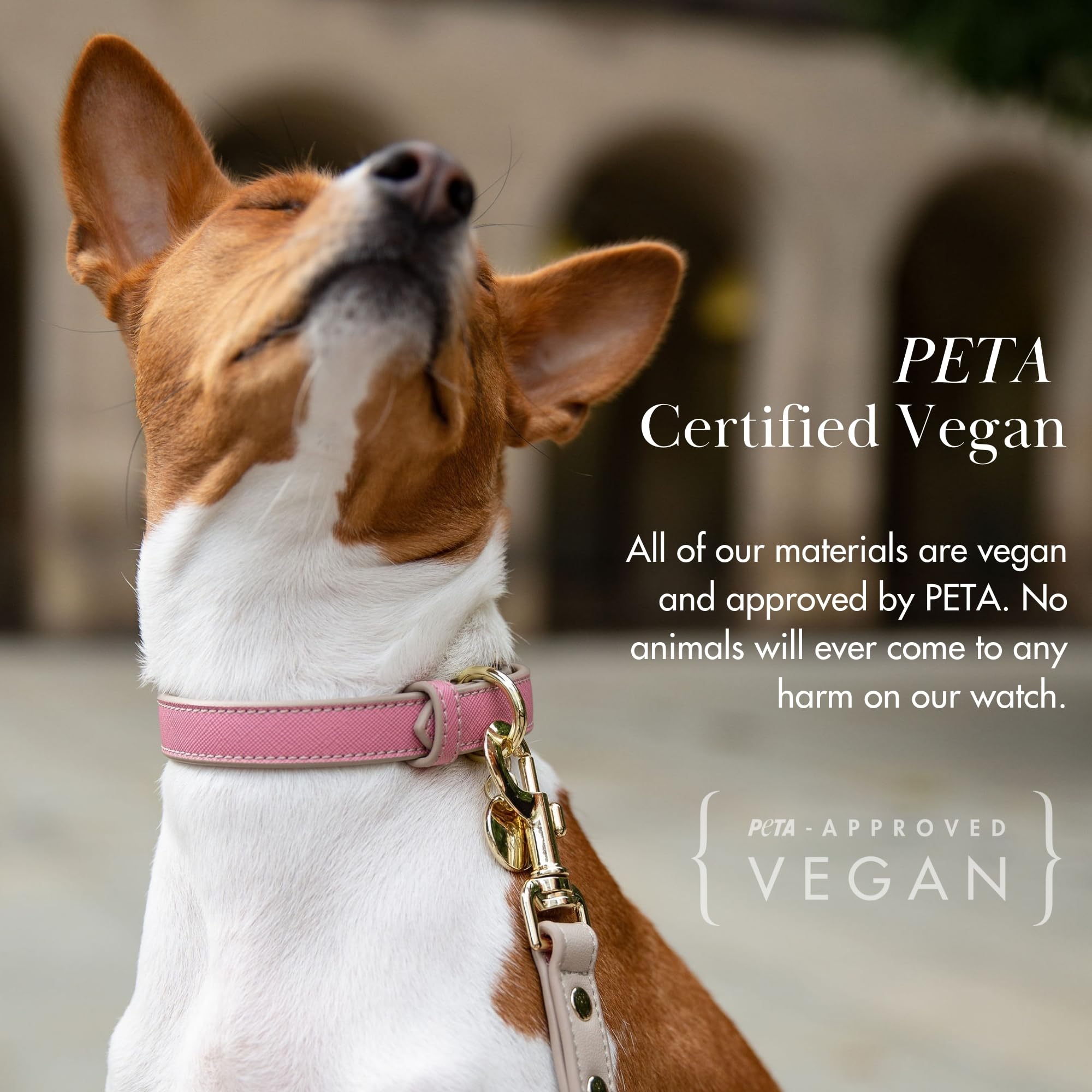 Nina Woof Rio collar talla grande 19-23 pulgadas, perfecto para razas grandes.
