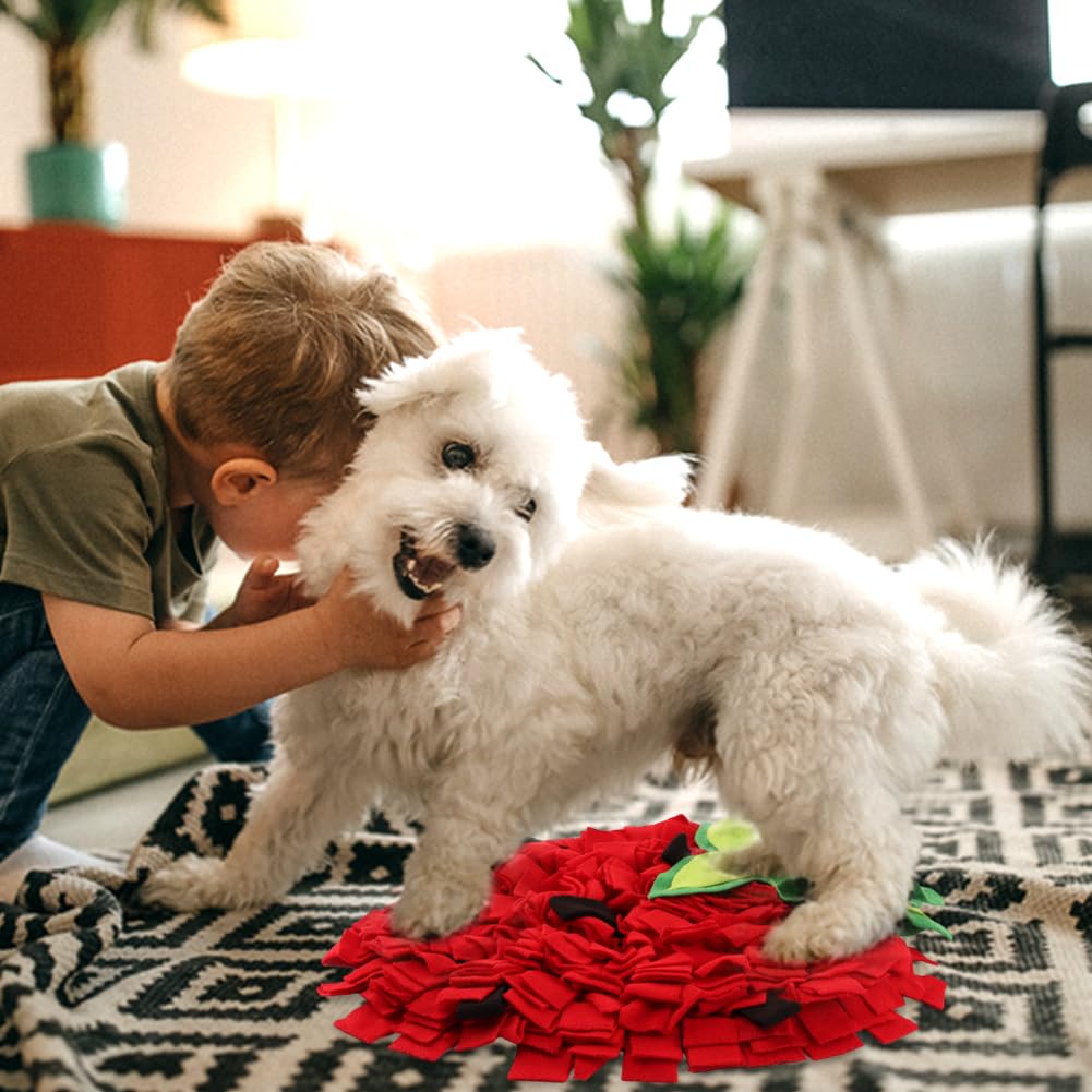 NINEFOX Snuffle Mat lavable a máquina para una limpieza rápida.