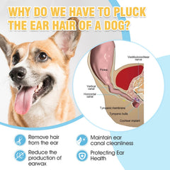 Ninibabie controla cerumen y olor en oídos de perros de forma segura