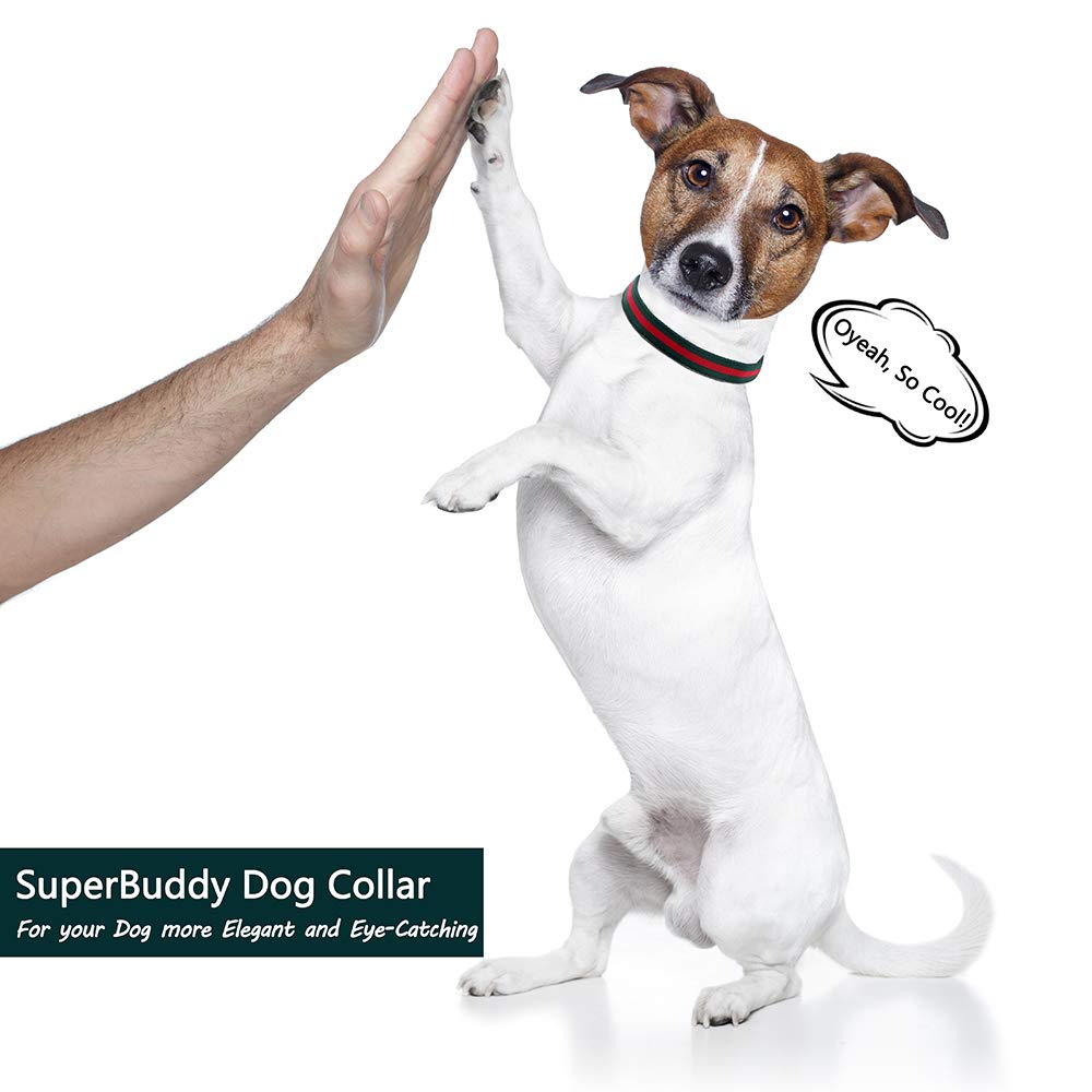 NISIYE collar con confort suave para la piel sensible durante todo el día.