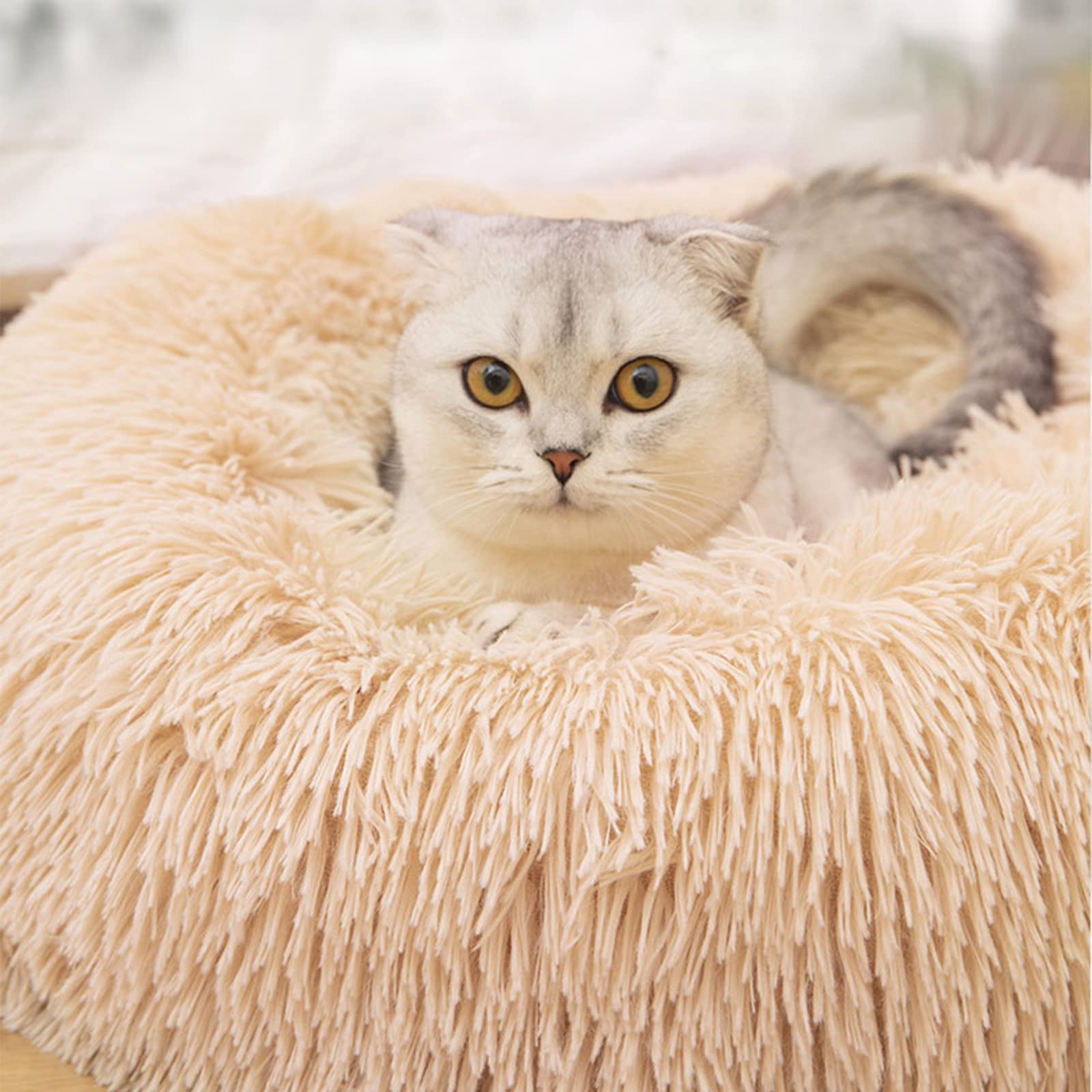 Nisrada cama para mascotas de 24 pulgadas, ideal para gatitos y cachorros.