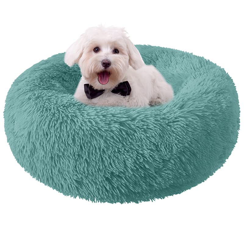 Cama Nisrada para perros con borde elevado y diseño redondo para mayor seguridad.