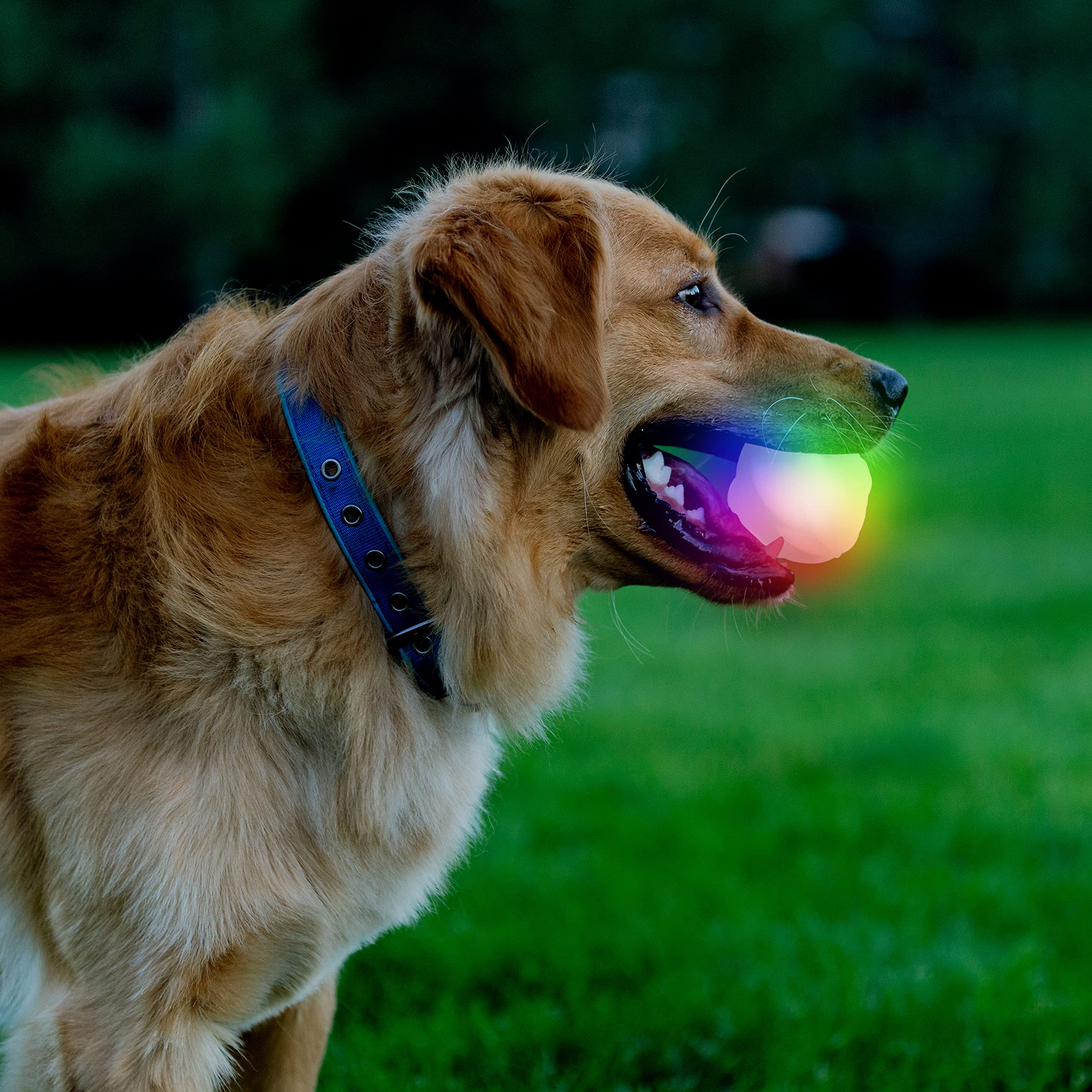 Nite Ize GlowStreak Wild, LEDs que cambian de color para localización nocturna.