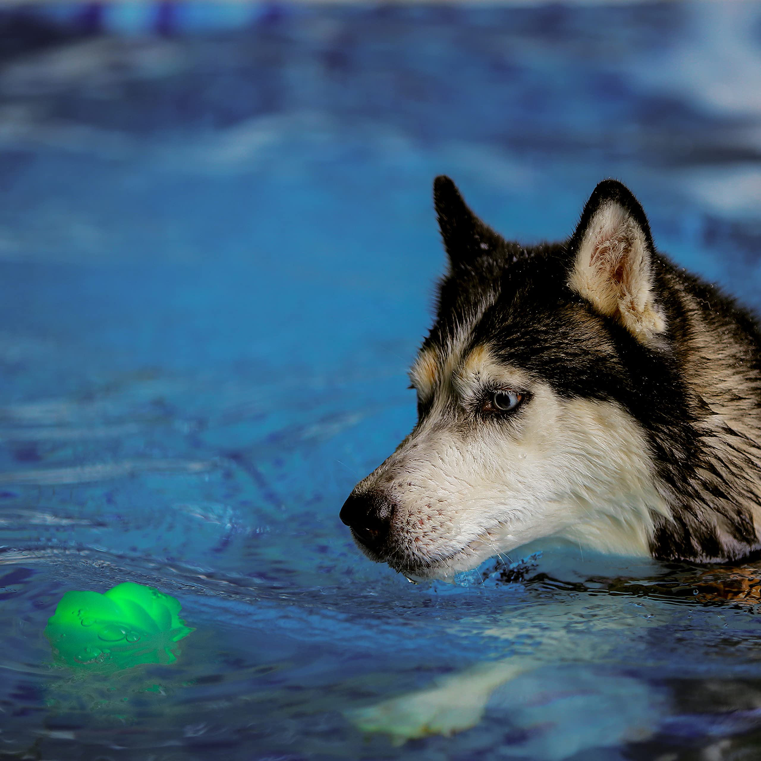 Nite Ize GlowStreak Wild, balón resistente a mordidas para perros activos.