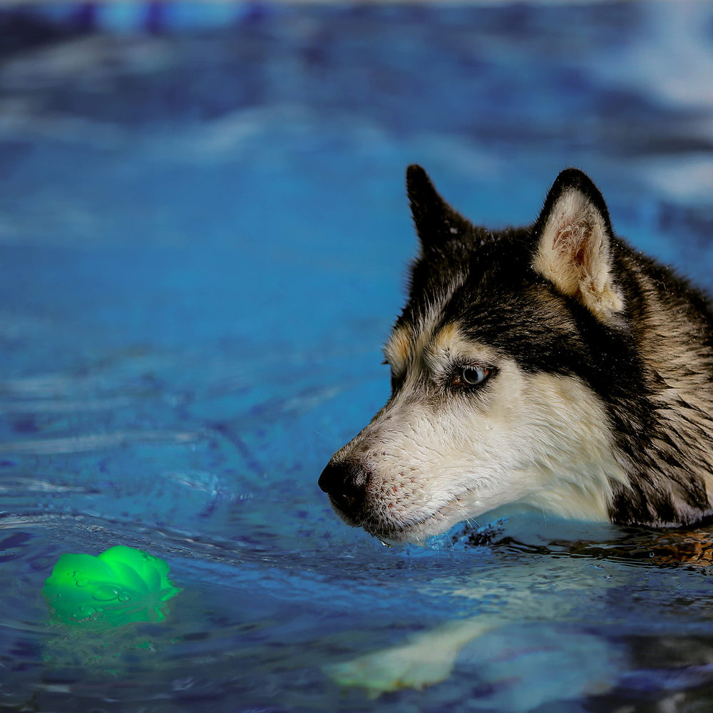 Nite Ize GlowStreak Wild, balón resistente a mordidas para perros activos.