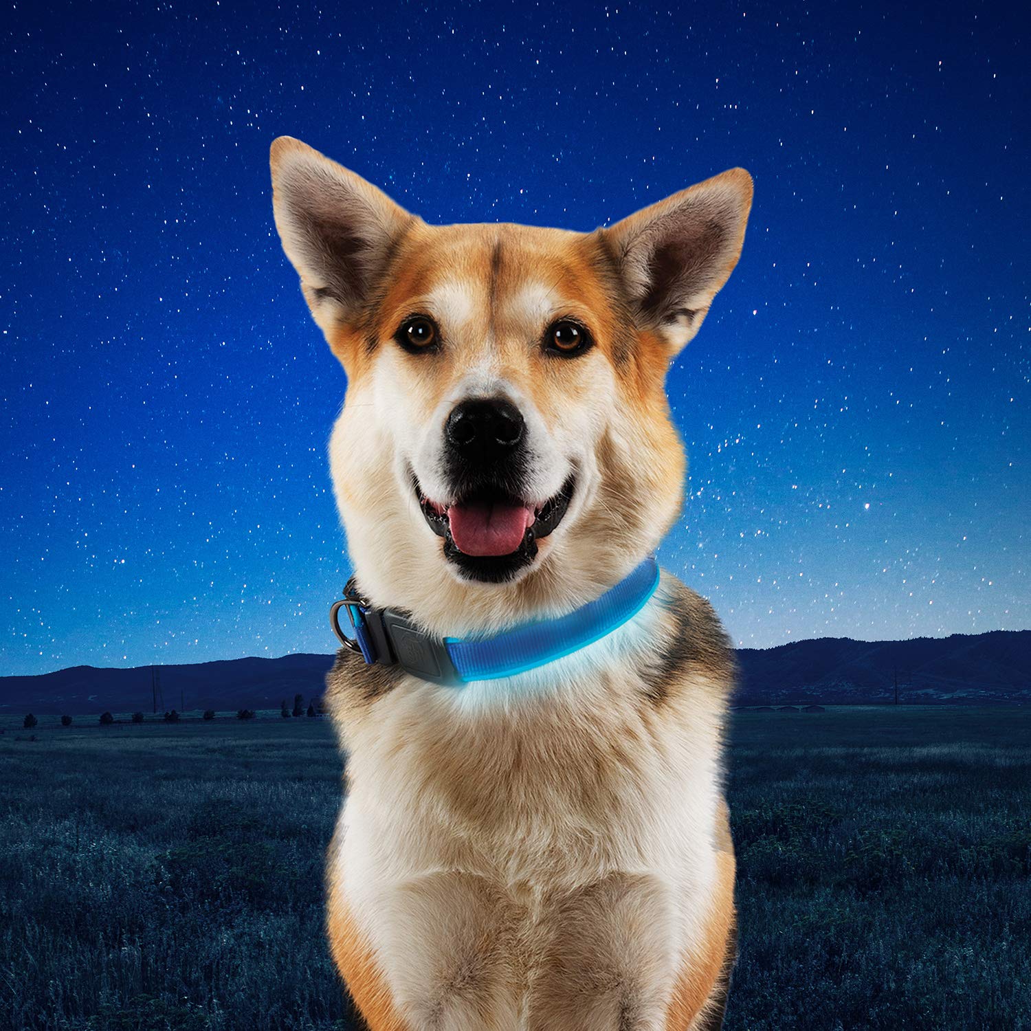 Nite Ize NiteDog collar ajuste regulable para perros grandes