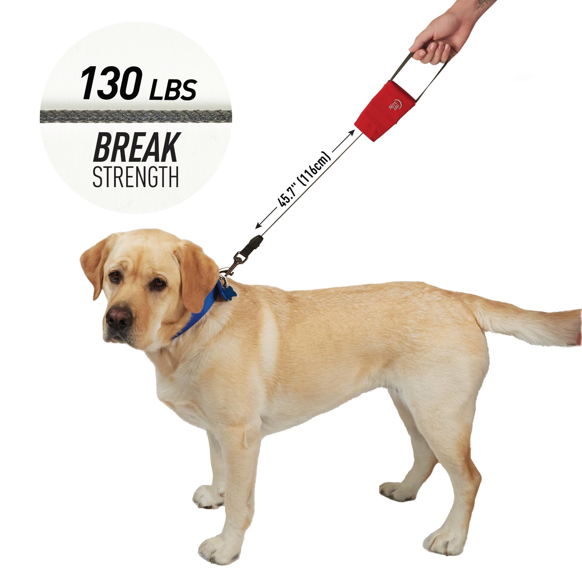 Nite Ize RadDog: asa de nylon suave para agarre cómodo durante caminatas.