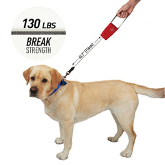 Nite Ize RadDog: asa de nylon suave para agarre cómodo durante caminatas.