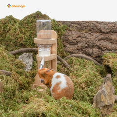 Niteangel base-para-botella-terraario: colocación estable en terrario