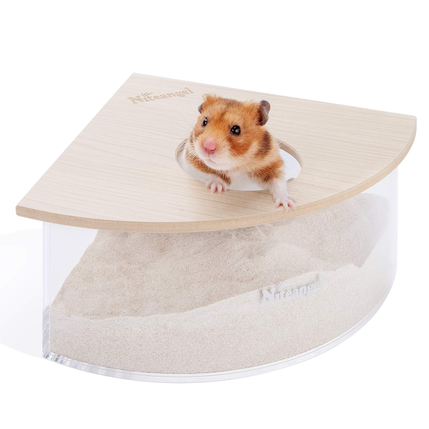 Caja de arena triangular de Niteangel para hámster observando su exploración en el interior.