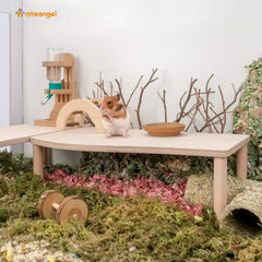 Niteangel Hamster Play con bebedero incorporado para beber fácilmente.