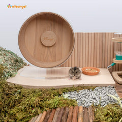Niteangel Hamster Play con cuenco de comida integrado para mayor comodidad.