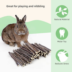 Niteangel palitos de manzana para chinchilla, snack natural para roer.