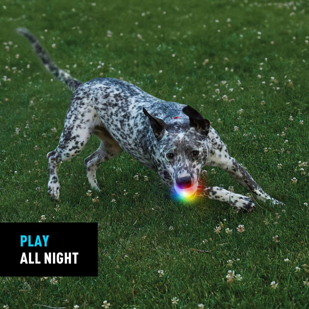 Nite Ize GlowStreak, tamaño similar a una pelota de tenis para perros