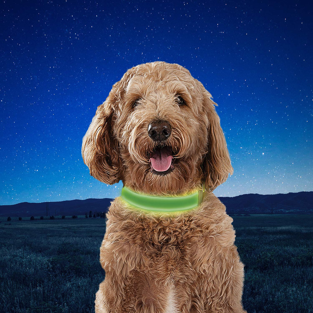 Nite Ize NiteDog modelo mediano en lima para visitas nocturnas