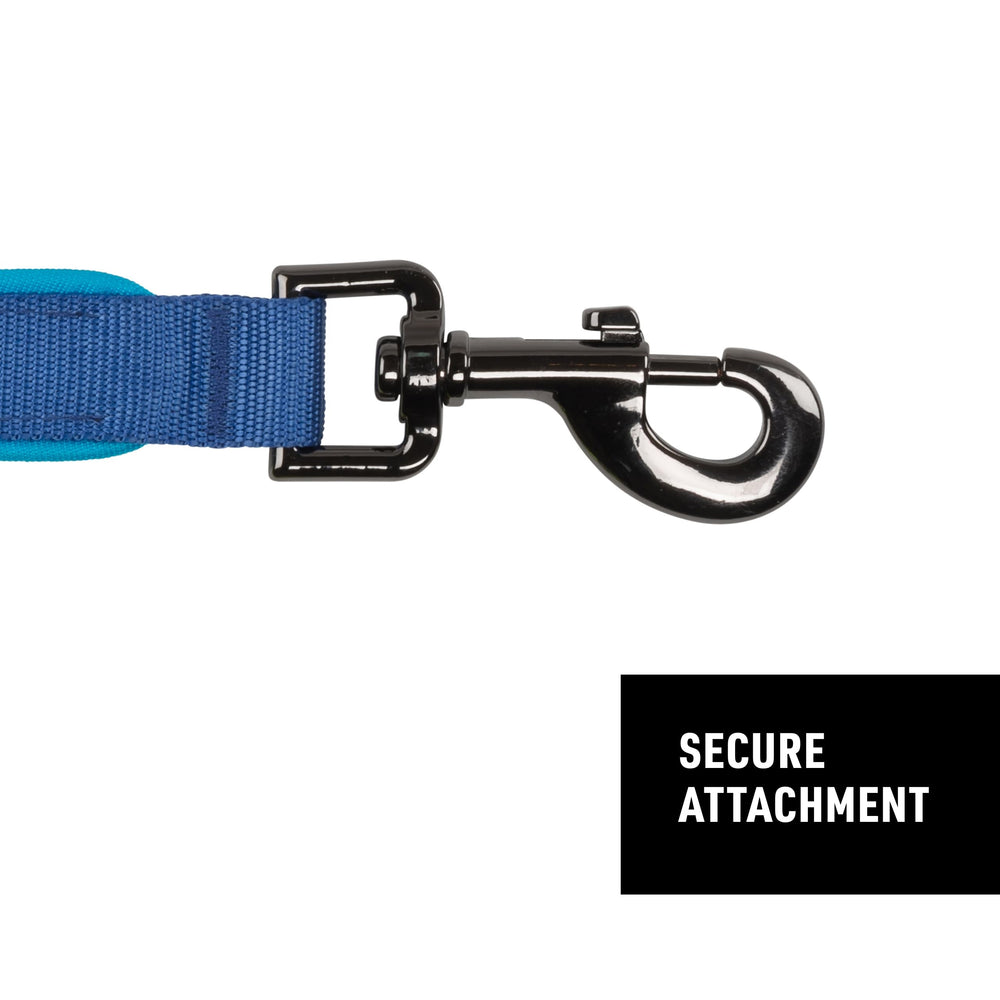 NiteDog ilumina caminatas nocturnas para mayor seguridad y tranquilidad.