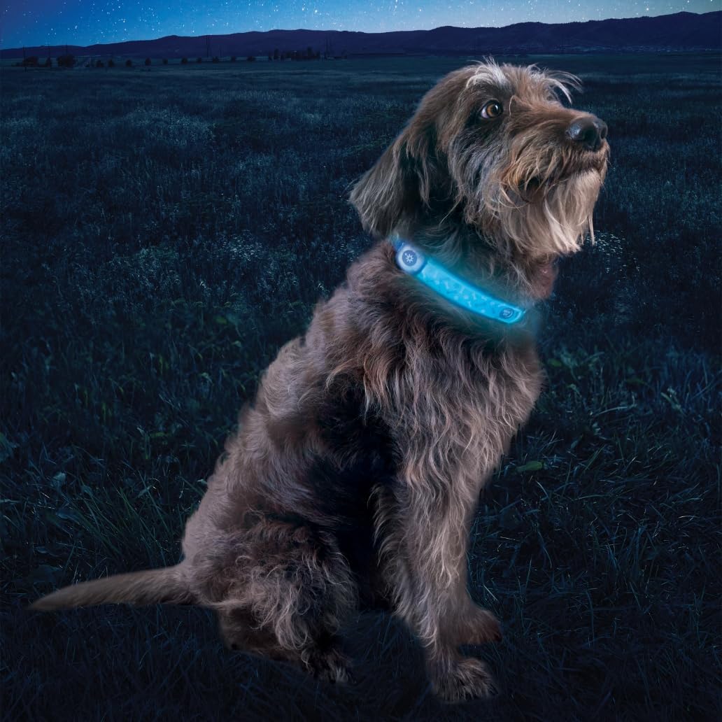 Nite Ize NiteDog luz roja parpadeante para mayor atención de transeúntes.
