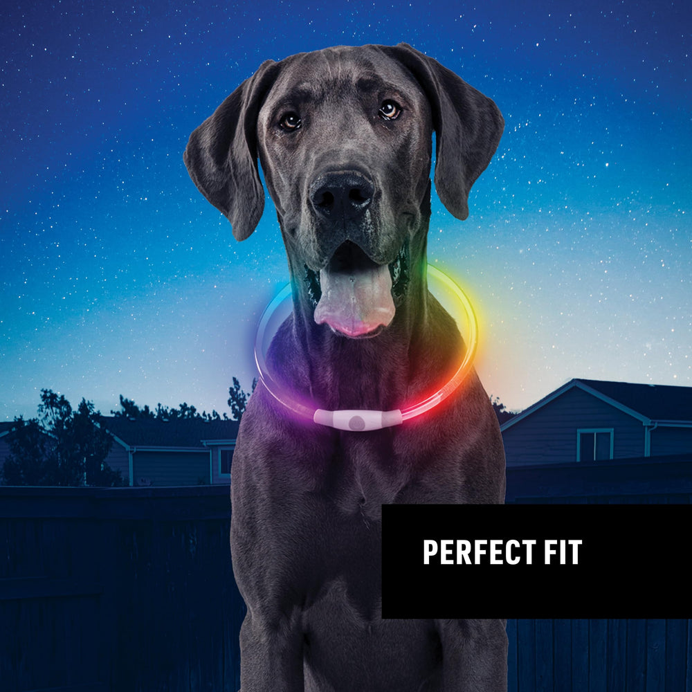 NiteHowl es ideal para paseos nocturnos y carreras con mayor visibilidad.