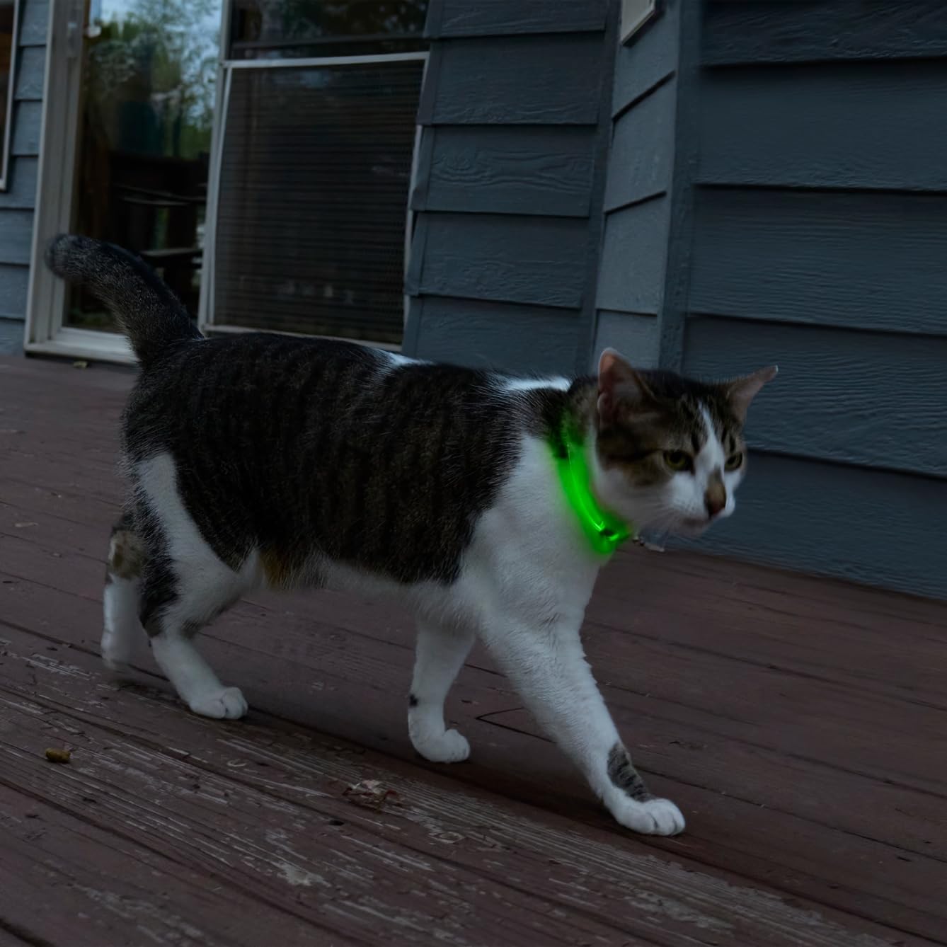 Nite Ize NiteMeow carga rápida en una hora para salir ya.