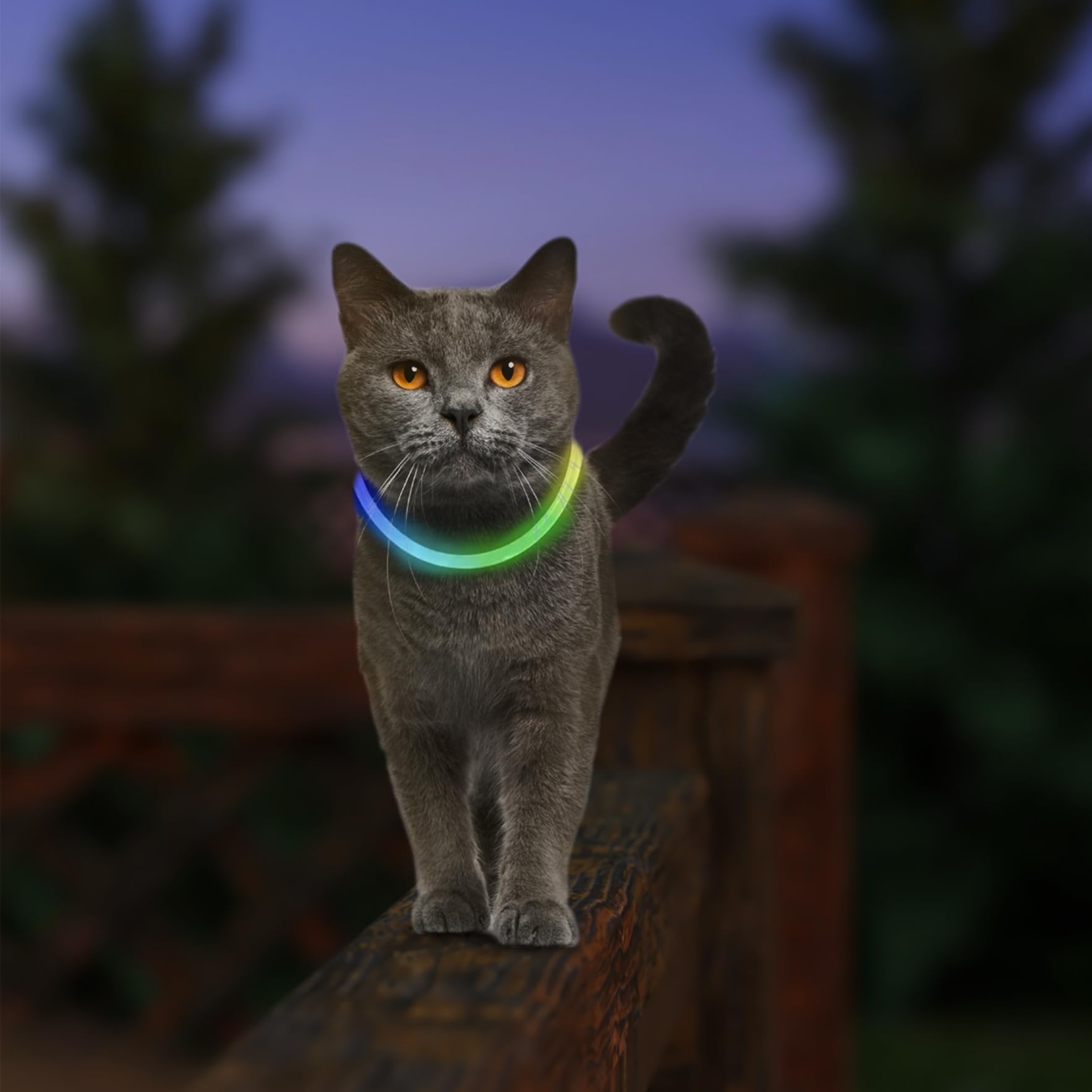 Nite Ize NiteMeow, iluminación segura para paseos nocturnos y juegos al aire libre.