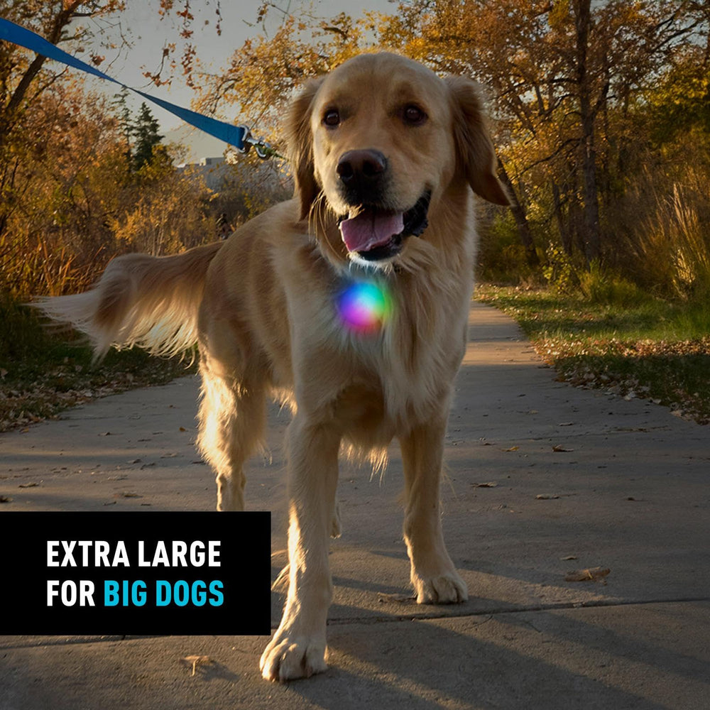 Disc-O Select de SpotLit XL ofrece colores y modo multicolor.