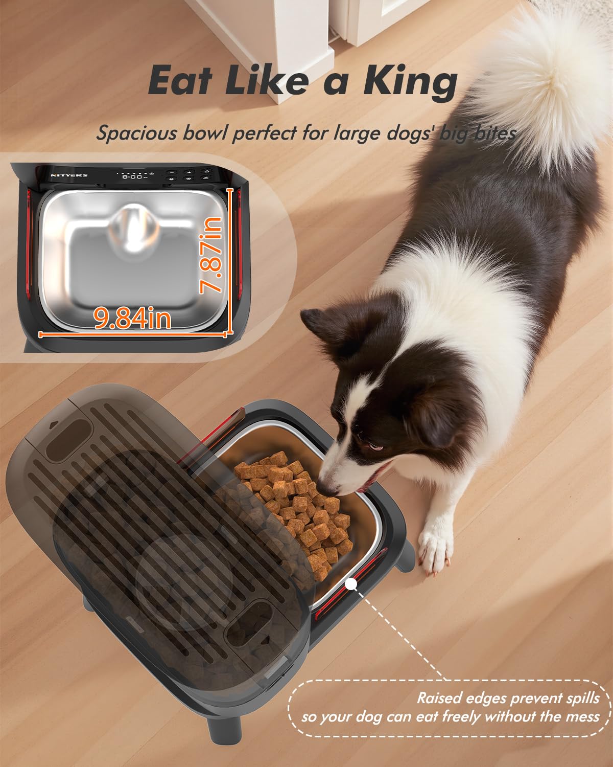 Nityers tazón acero inoxidable ancho para grandes croquetas y perros grandes
