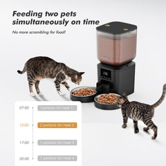 Nityers doble bandejas distribuyen comida equitativamente entre dos felinos.