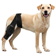NIUBNKJ protector rodilla perro con ajuste para mayor estabilidad