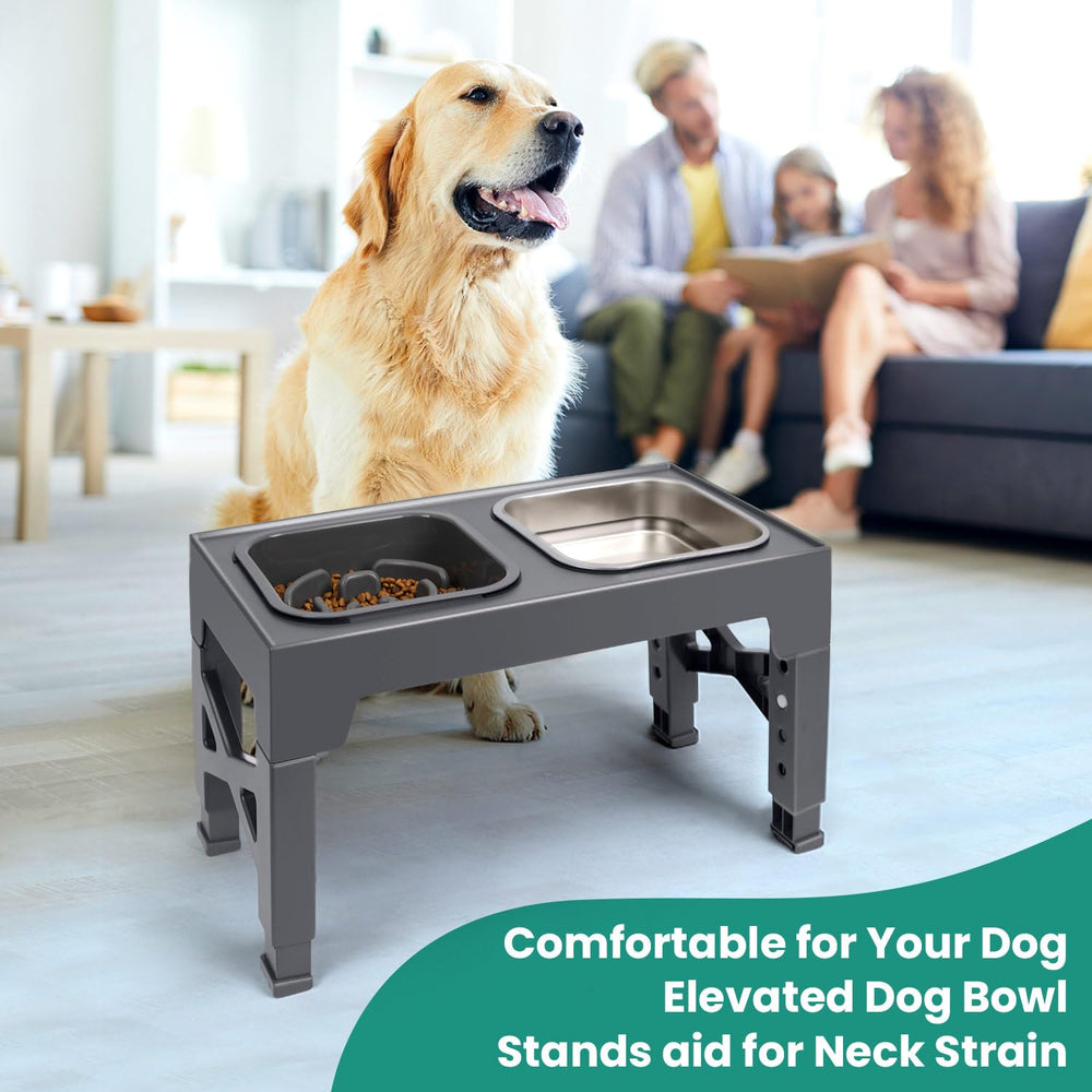 Niubya bebederos elevados para perros de distintos tamaños con alturas ajustables.
