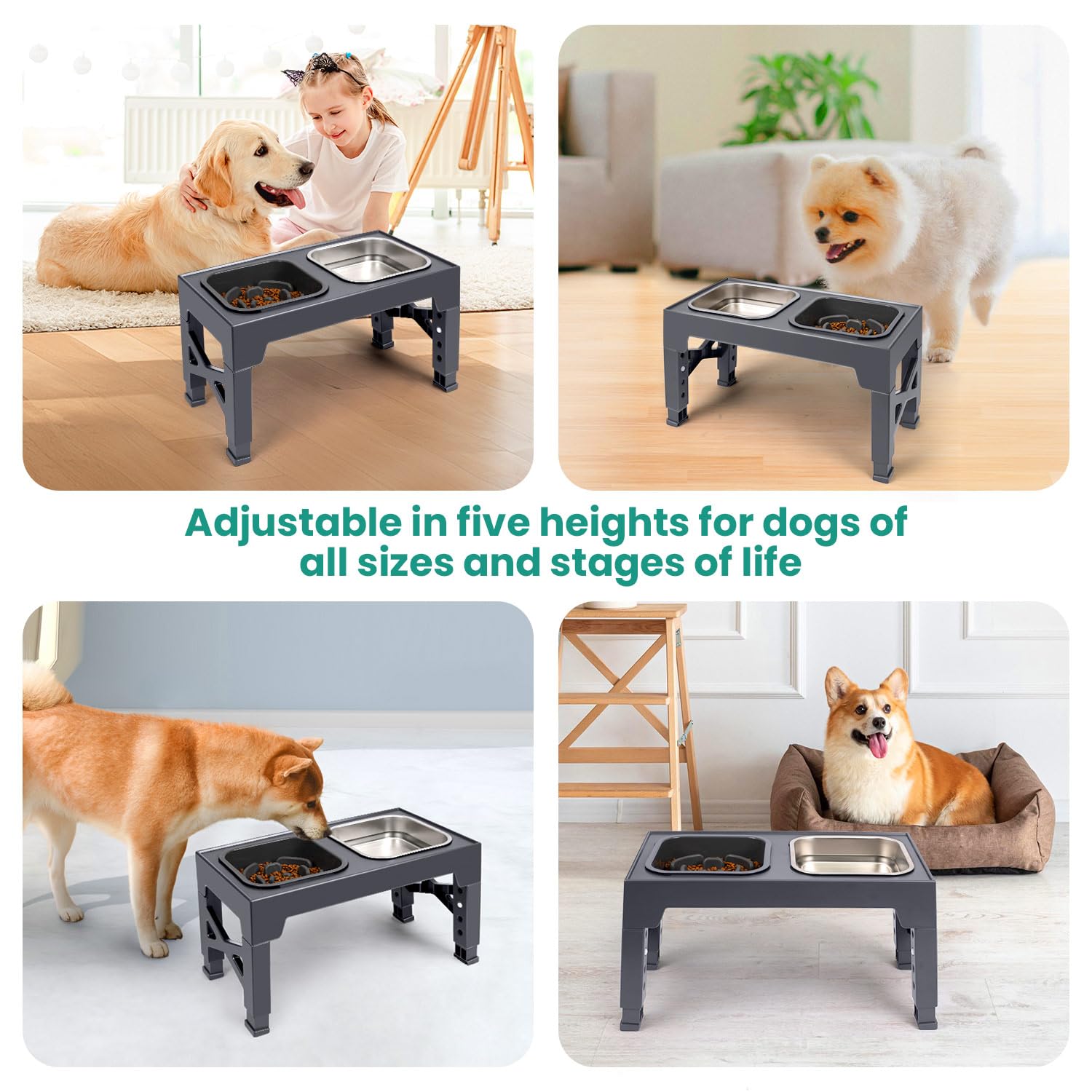 Niubya diseño ergonómico de bebederos elevados para mayor comodidad.