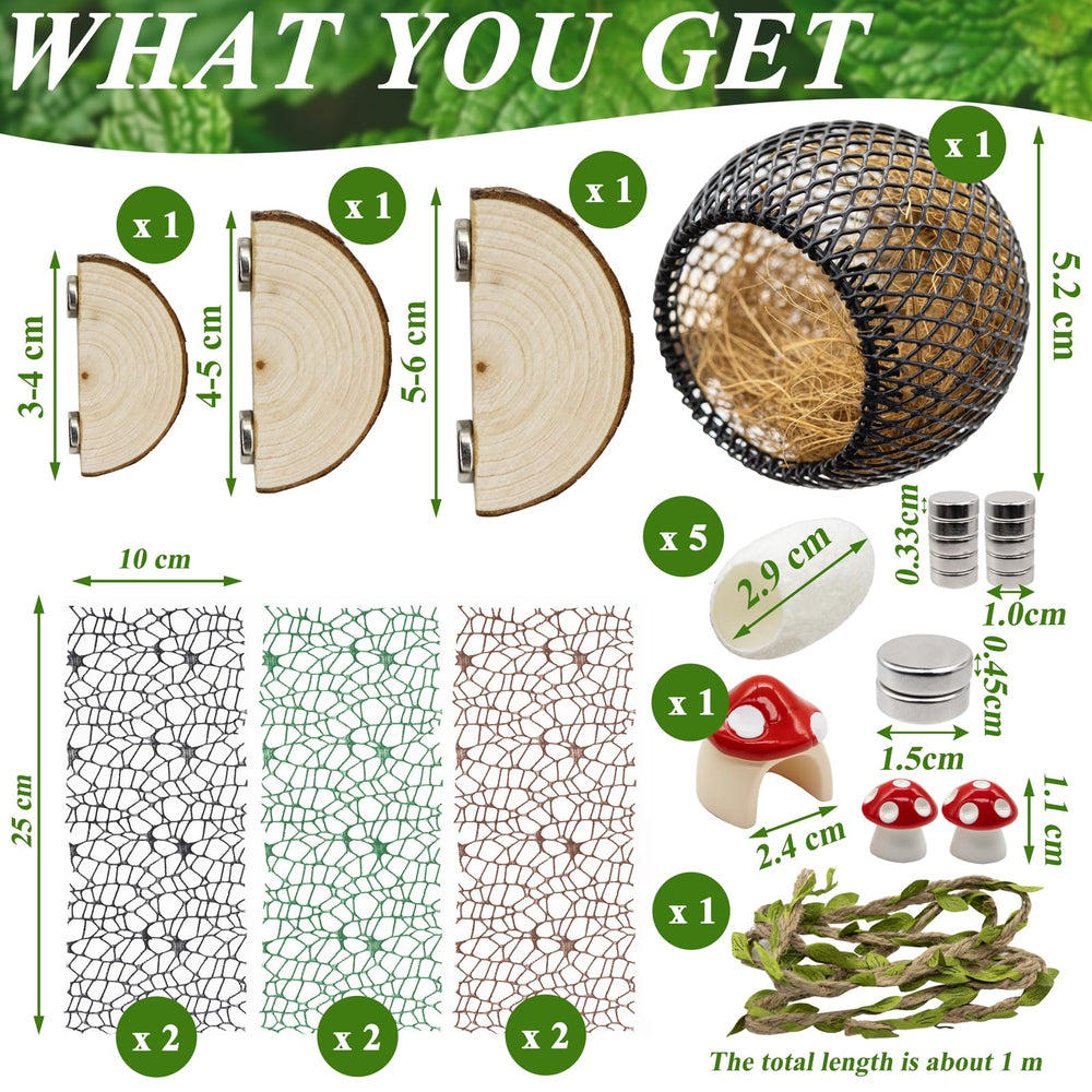 Niuohoy araña saltadora plataformas alimentación: superficies estables para comer y observar
