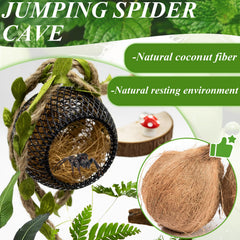 Niuohoy araña saltadora plataformas madera: opción natural que ayuda a regular la humedad