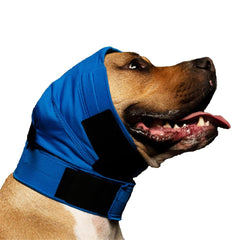 No Flap Ear Wrap con malla punto azul para orejas sensibles, ajuste cómodo.