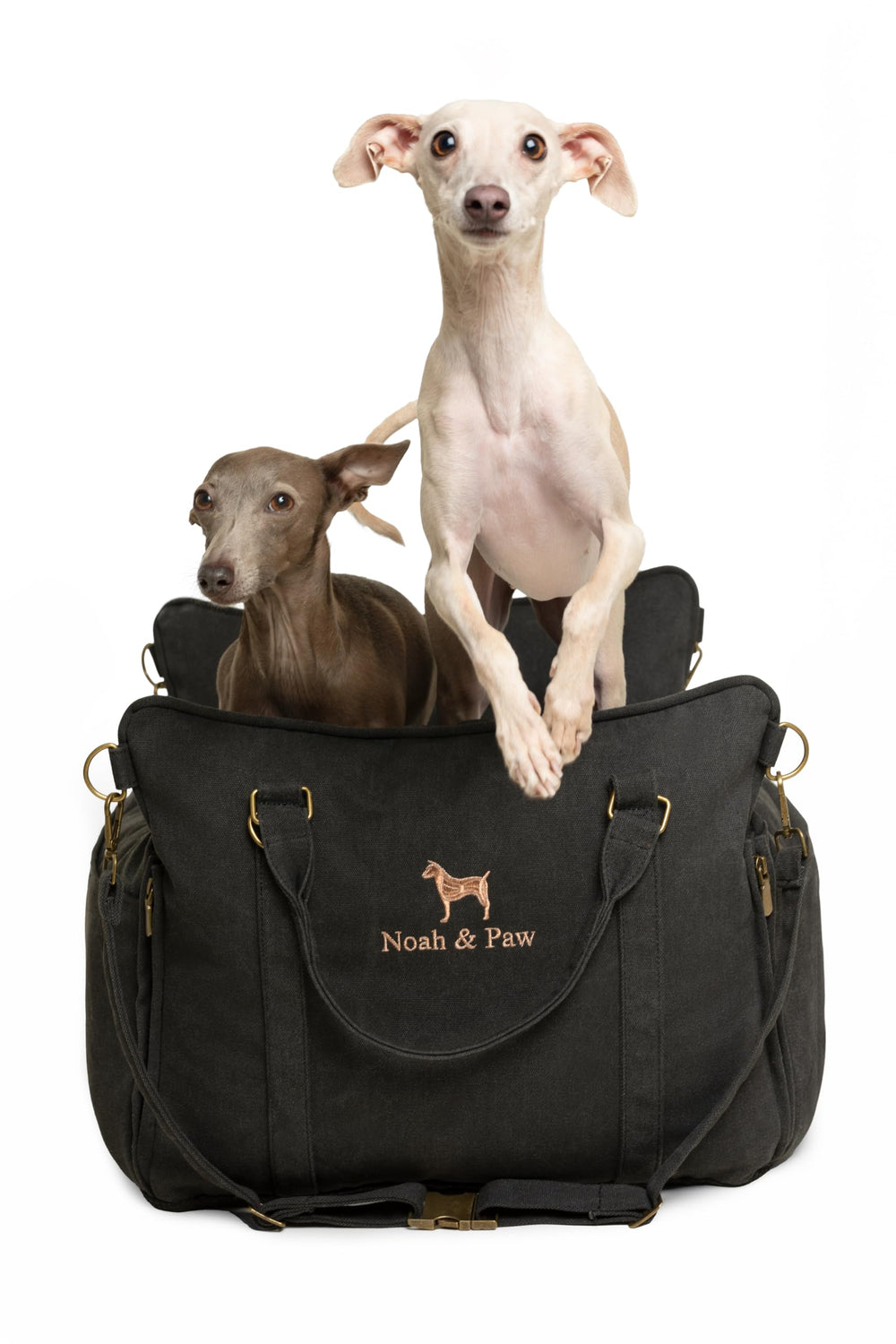 NOAH & PAW asiento coche para perro pequeño con cinturón de seguridad