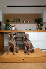 Base de 6 pulgadas con espuma ortopédica NOAH & PAW para soporte