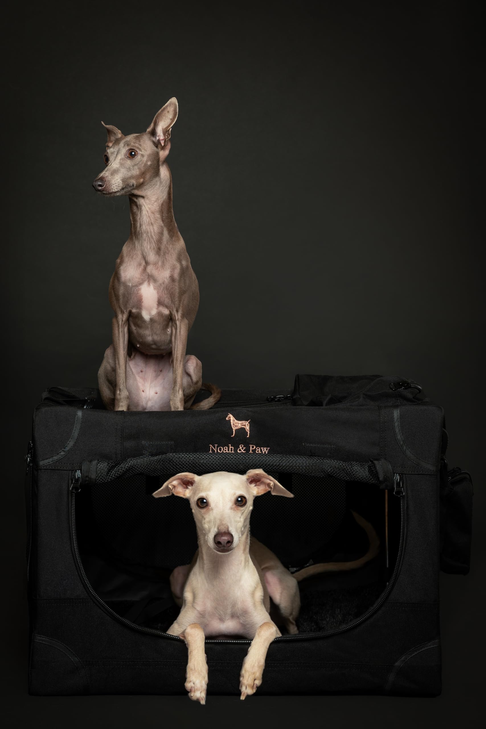 Bolsillos de viaje Noah & Paw, almacenamiento práctico para accesorios