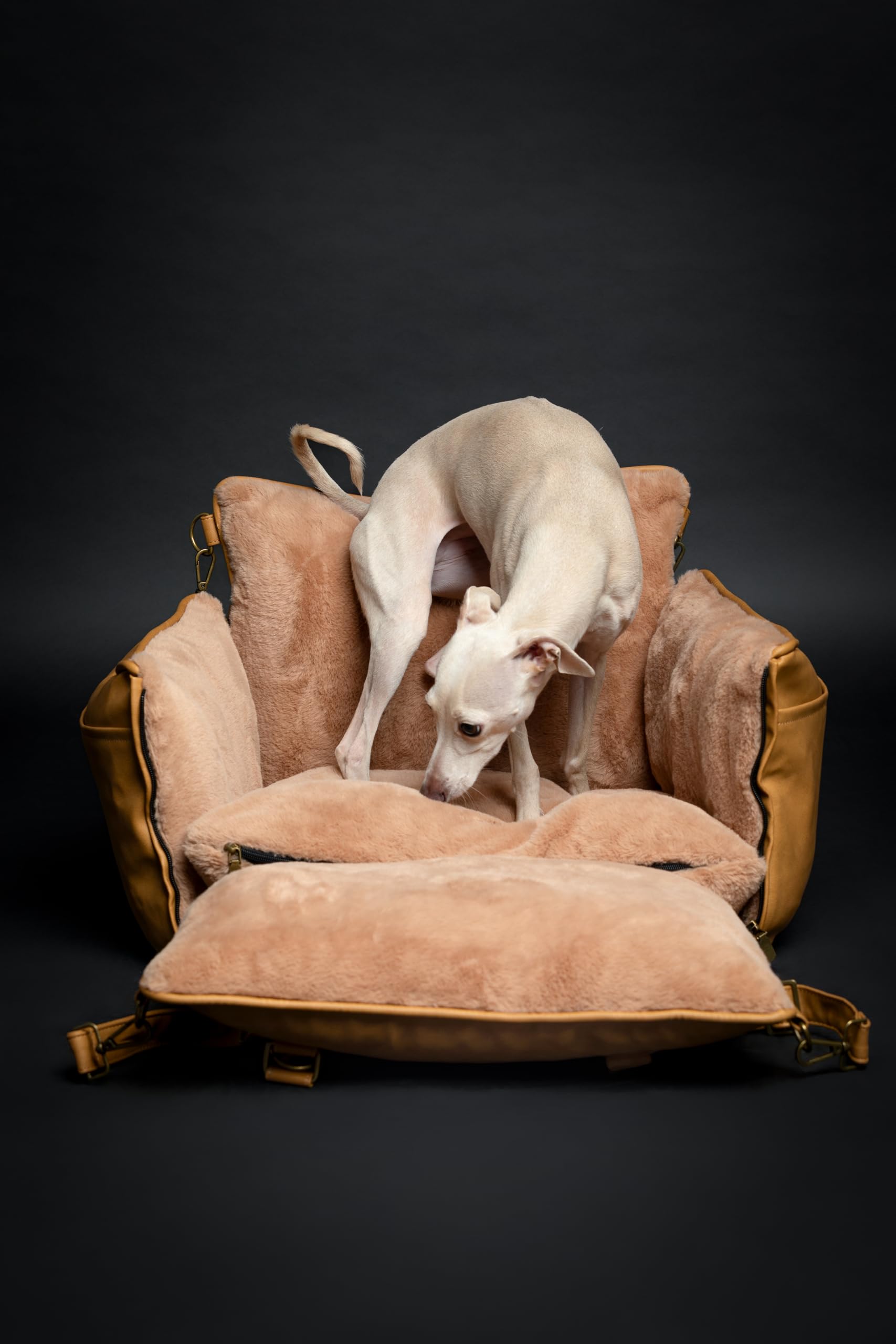 NOAH & PAW cama-boost para perro, ideal para descansar en ruta.