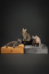 Cama NOAH & PAW con doble funda lavable, interior y exterior.