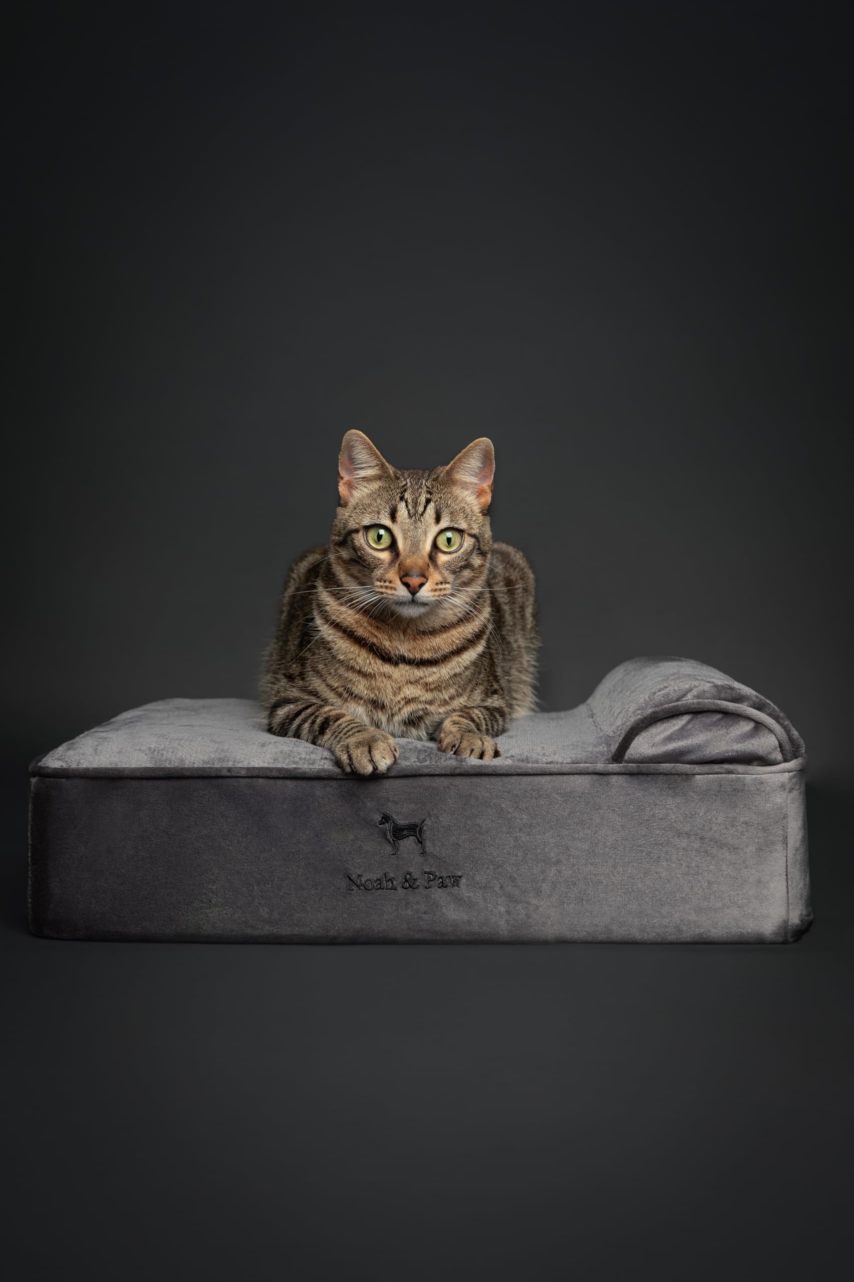 Cama NOAH & PAW, cubierta interna lavable para higiene fácil.
