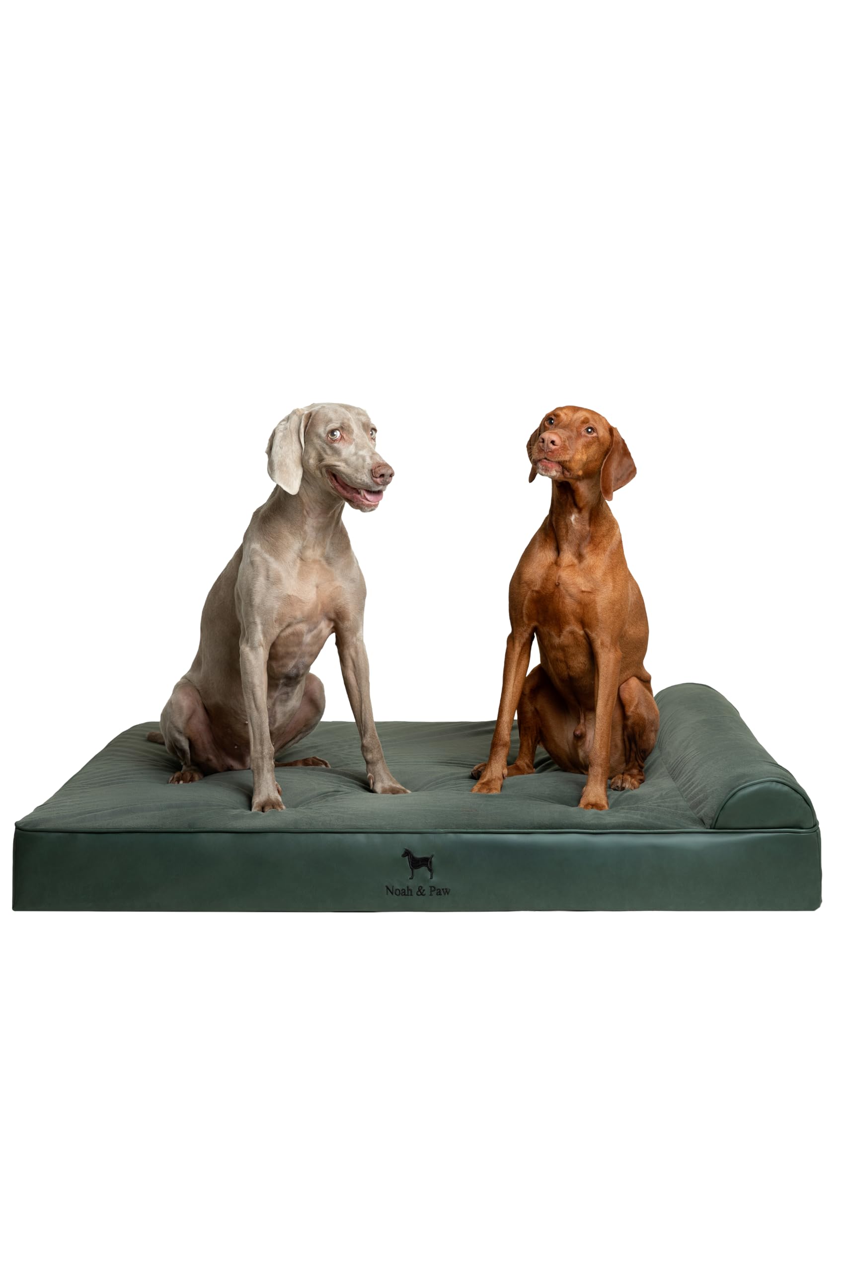 NOAH & PAW cama para perro extra grande XXL con capas interiores lavables