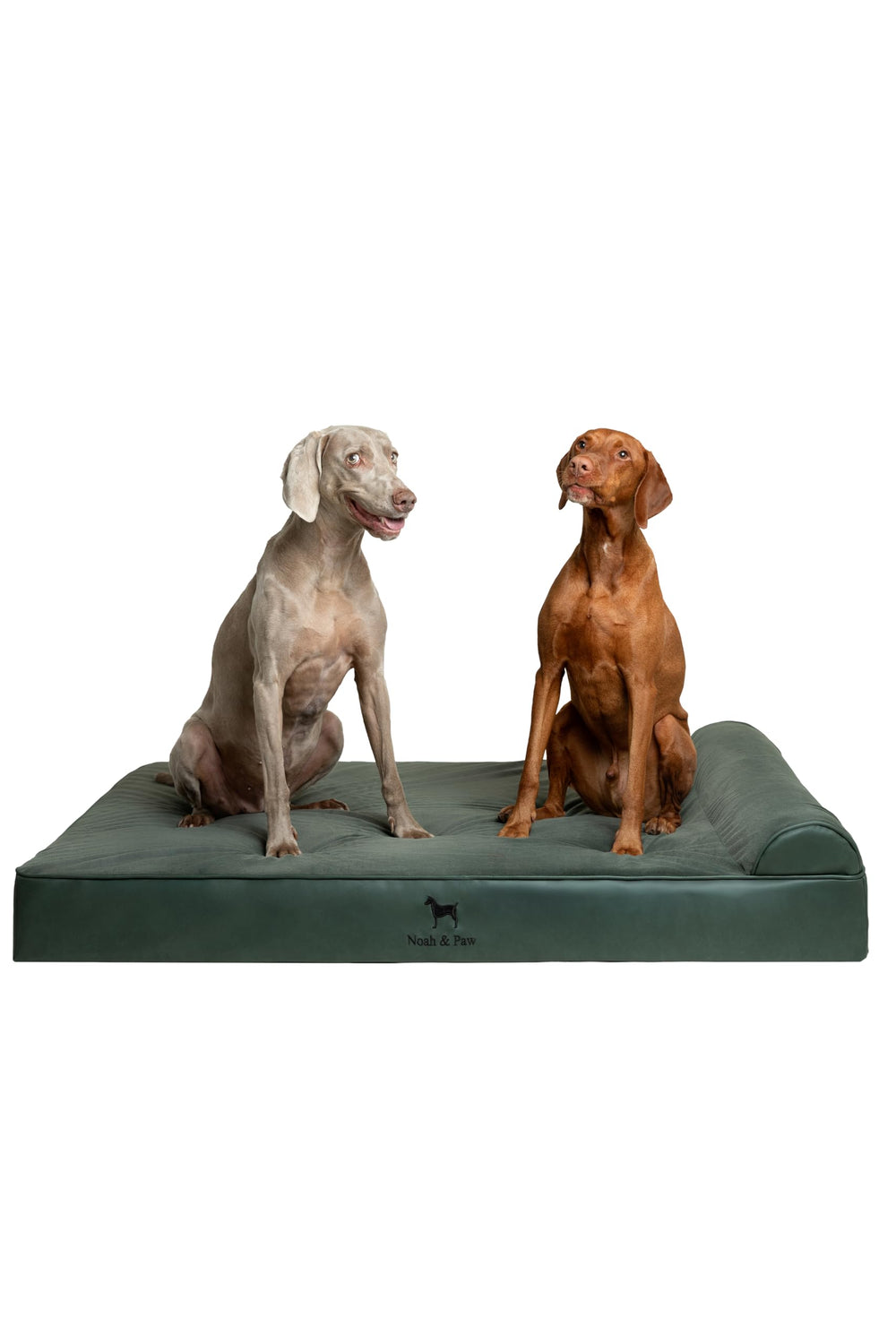 NOAH & PAW cama para perro extra grande XXL con capas interiores lavables