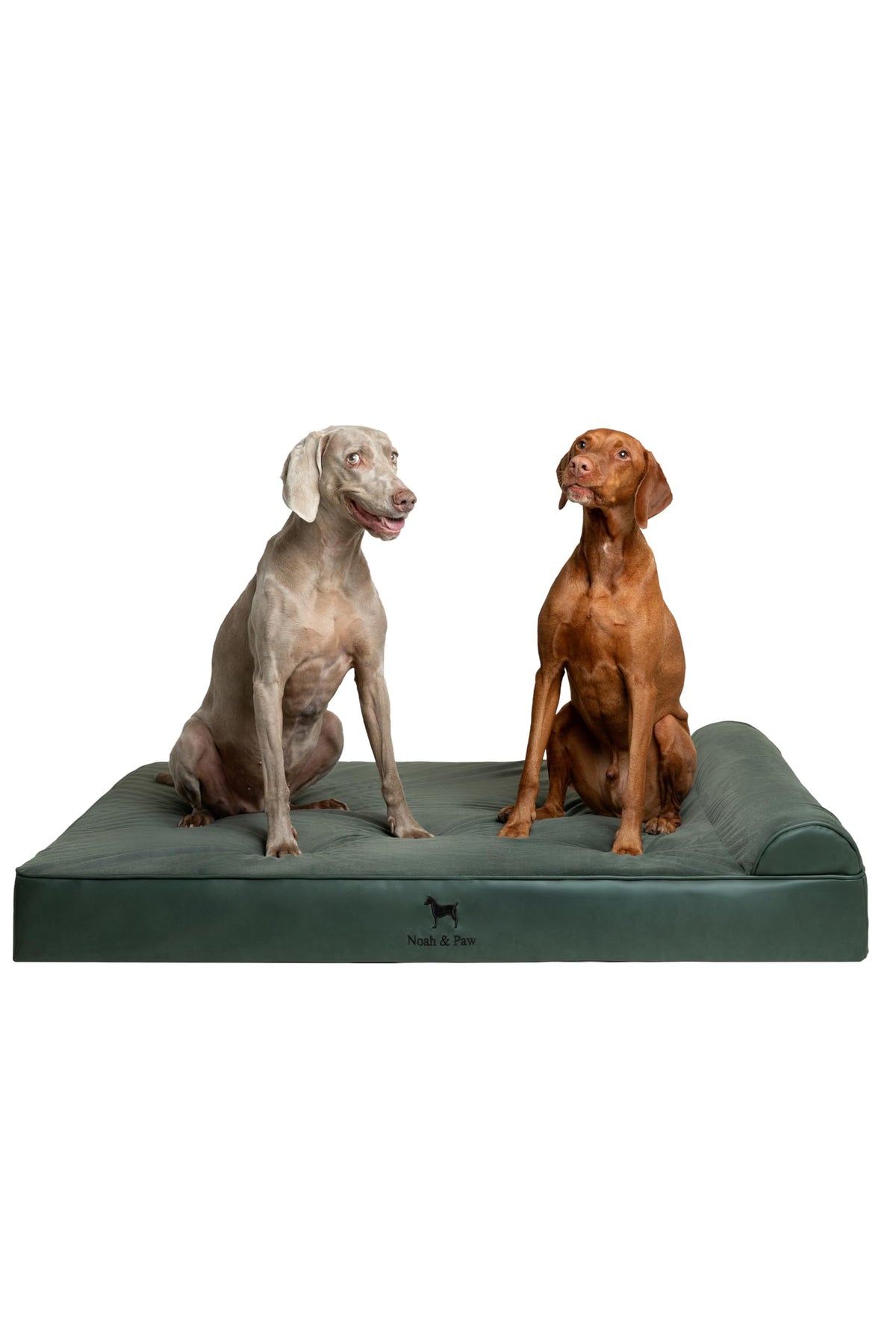 NOAH & PAW cama para perro extra grande XXL con capas interiores lavables