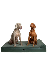 NOAH & PAW cama para perro extra grande XXL con capas interiores lavables