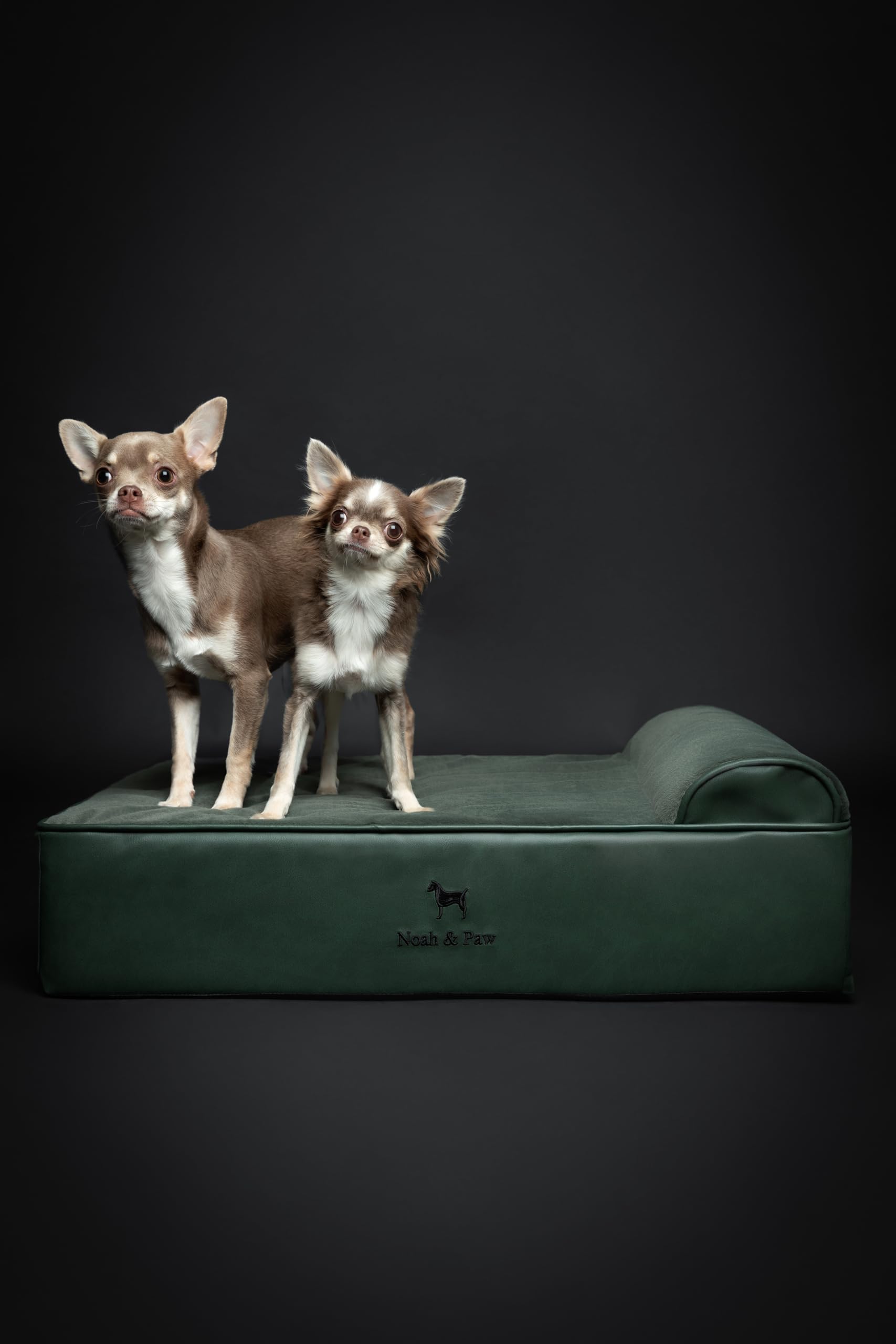 NOAH & PAW funda impermeable para cama de perro y limpieza fácil