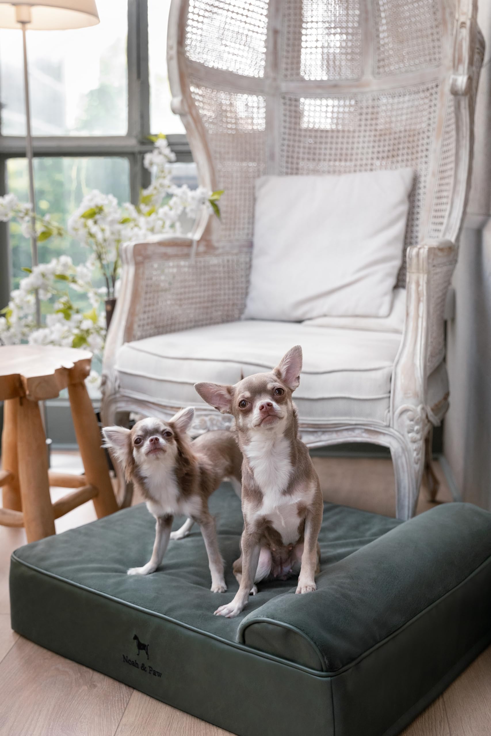 NOAH & PAW cama con gel refrescante para confort diario