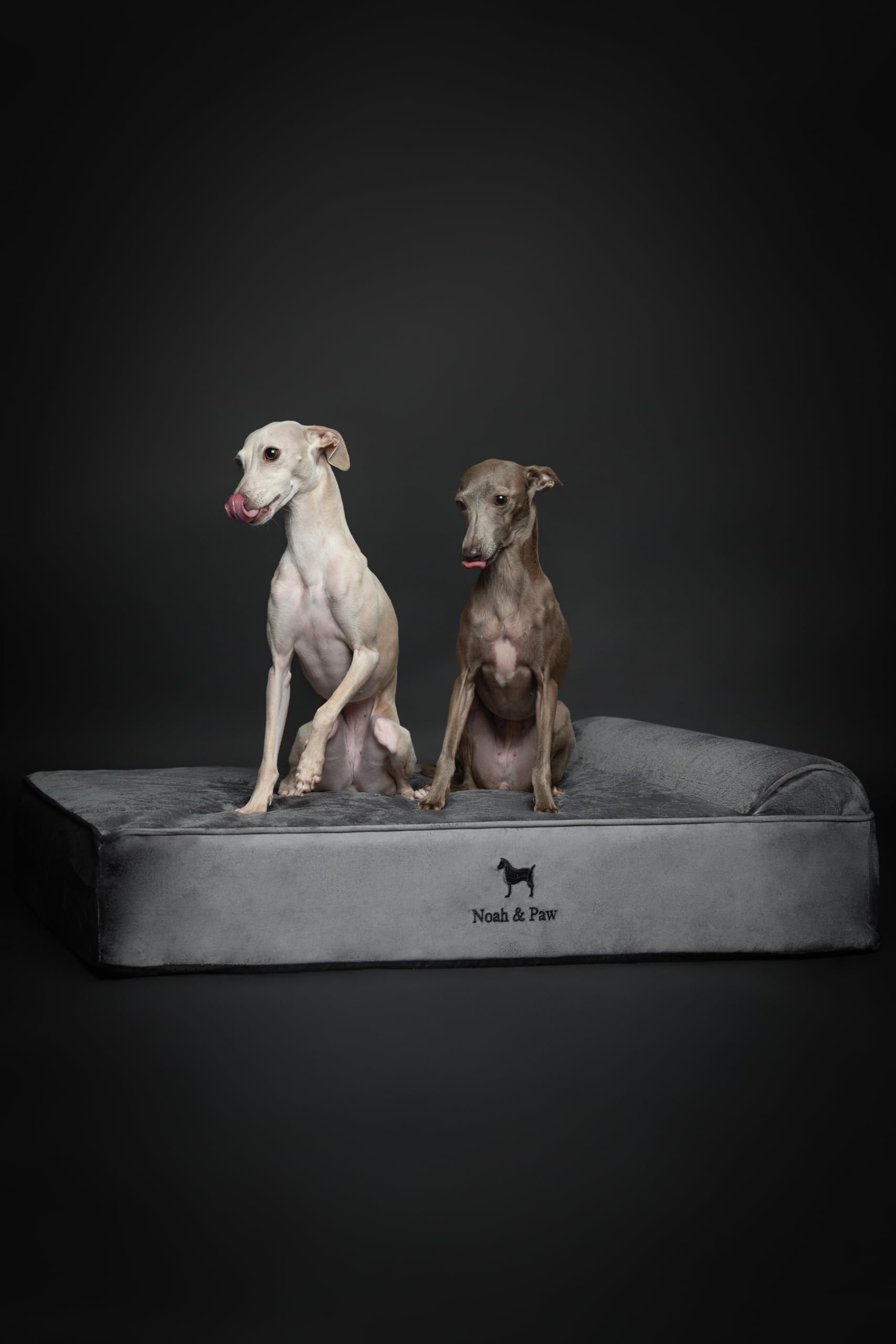 Base de 6 pulgadas en cama NOAH & PAW para perro grande
