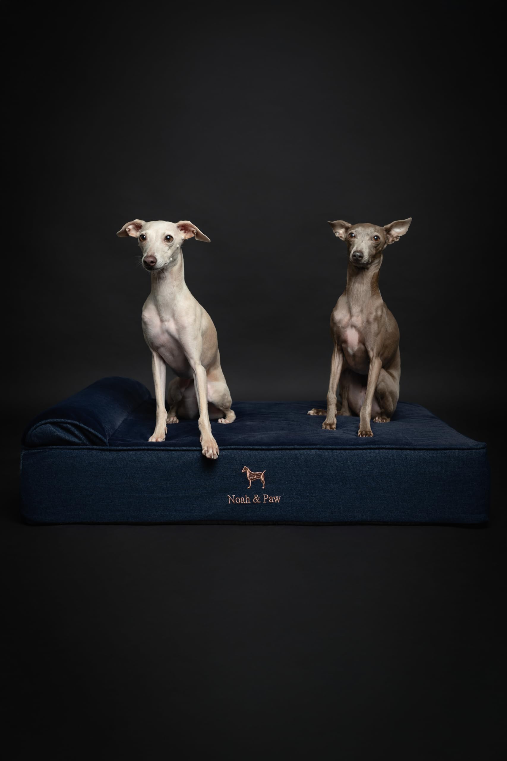 NOAH & PAW cama grande: capas múltiples brindan soporte ortopédico estable.