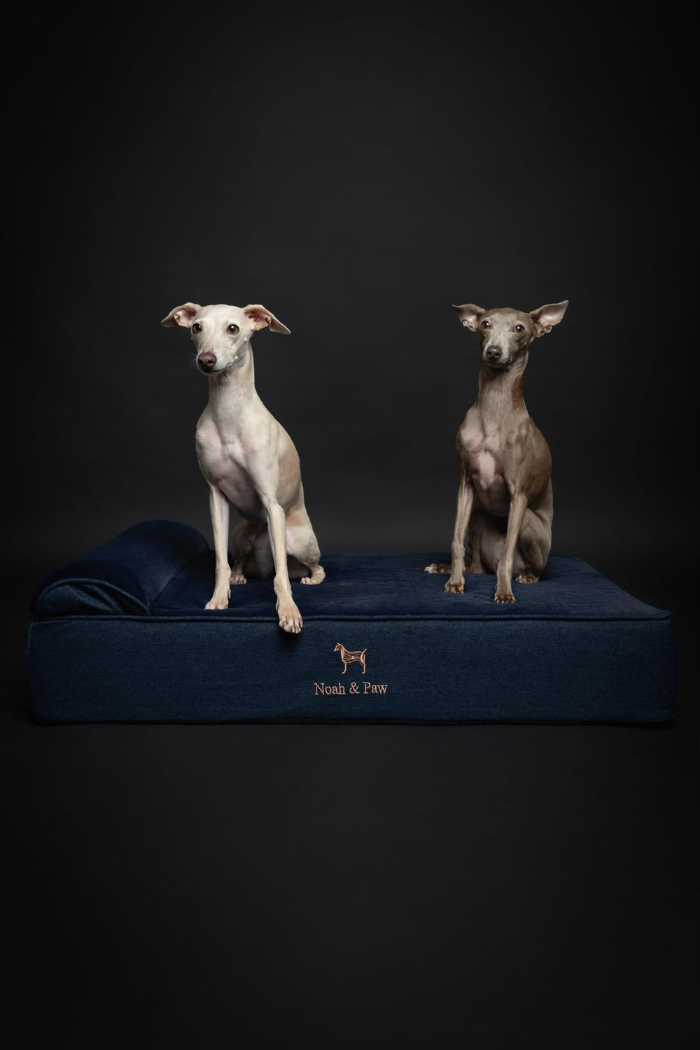 NOAH & PAW cama grande: capas múltiples brindan soporte ortopédico estable.
